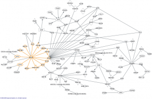 http://www.plosone.org/article/info%3Adoi%2F10.1371%2Fjournal.pone.0004906, http://commons.wikimedia.org/wiki/File:Network_of_how_100_of_the_528_genes_identified_with_significant_differential_expression_relate_to_DISC1_and_its_core_interactors.png
